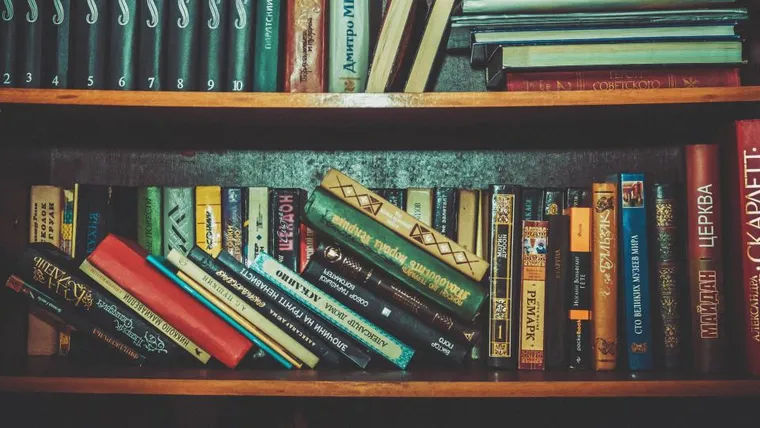 A full bookshelf of colorful spines
